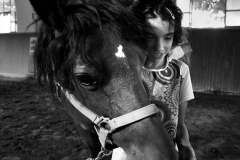cavalli_