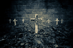 Carusi-di-Rosa-Salvia2