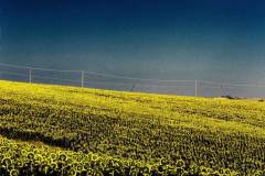 Commistione-Roberto-Riva-09_