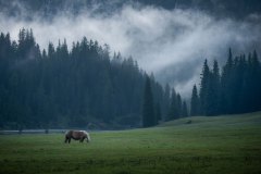Le-Gru-Dolomitica-Francesco-Butano-2-Serena-Vasta