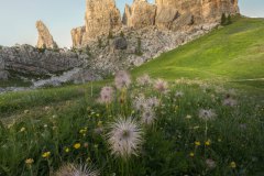Le-Gru-Dolomitica-Francesco-Butano-3-Serena-Vasta