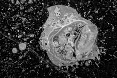 Edo-Piantadosi-Forme-fragili-Astronave-e-galassia_