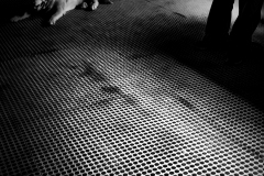 Guardo-e-cerco-in-me-Gianfranco-Crevatin-03