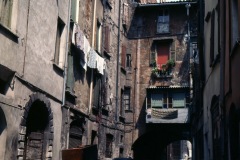 BORRANI5
