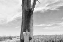 Galleria_Fiaf_San_Felice_Le_Immagini_di_Morel_1-Luca-Monelli