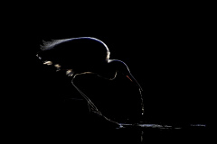 INCANTESIMI-DI-LUCE-_DI-MASSIMO-BOTTONI