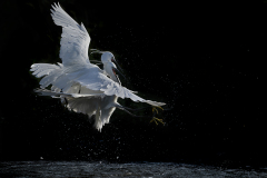 INCANTESIMI-DI-LUCE-_DI-MASSIMO-BOTTONI2