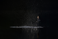 INCANTESIMI-DI-LUCE-_DI-MASSIMO-BOTTONI3