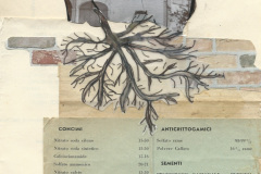 SanFelice_IoAbitoQui_02