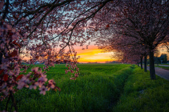 SANFELICE_LAFOTODELMESE_04-Luca-Monelli