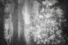 SANFELICE_LAFOTODELMESE_13-Luca-Monelli