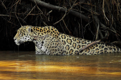 ISEO_Foto-dell_anno_06-Giancarlo-Caperna