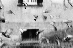 Iseo_la-via-della-bellezza_08-Giancarlo-Caperna