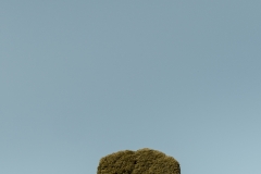 Eleonora-Dottorini