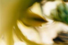Lumen-Opaticum-3