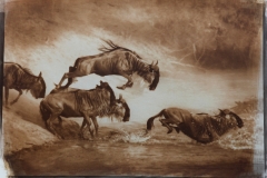 Gnu-al-salto