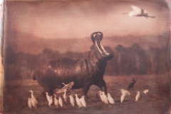 Ippopotamo-nervoso