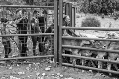 ISEO_Agrosfera_SETT_2026_06-Giancarlo-Caperna