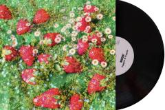 SAN_FELICE_SCATTI_A_33_GIRI_03-Luca-Monelli