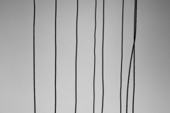 3D0C1293-mmTIFF-m