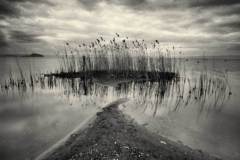 le-gru_sinfonia-del-silenzio_2-