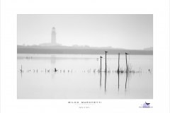 06-delta-in-b_w