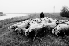 SanFelice_VersoLaFoce_02-Luca-Monelli