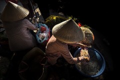 lello-fargione-vietnam3_