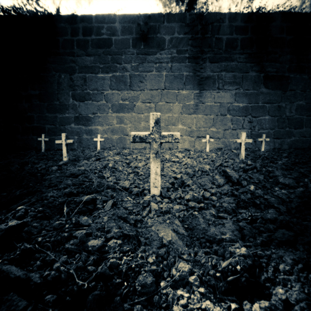 Carusi di Rosa Salvia2