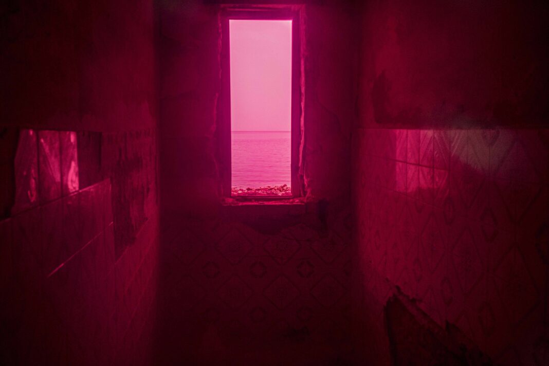 APF_Rosso_Rabbia_03 - Sebastian Brusca