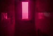 19 -28 giugno 2026 / Rosso Rabbia – mostra di Antonello Ferrara