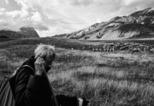 11 – 26 luglio 2026 / Al passo dei Pastori – mostra di Davide Farella