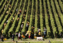 12 – 27 settembre 2026 / Progetto Agrosfera – Mostra collettiva
