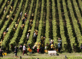 12 – 27 settembre 2026 / Progetto Agrosfera – Mostra collettiva