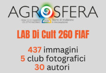 14 settembre – 19 ottobre 2026 / Agrosfera – mostra autori vari